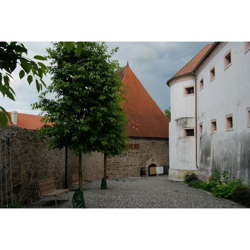 Dárkový poukaz na venkovní únikovou hru Za rohem číhá drak – náhled 3