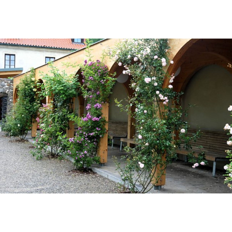 Dárkový poukaz na venkovní únikovou hru Za rohem číhá drak – náhled 5