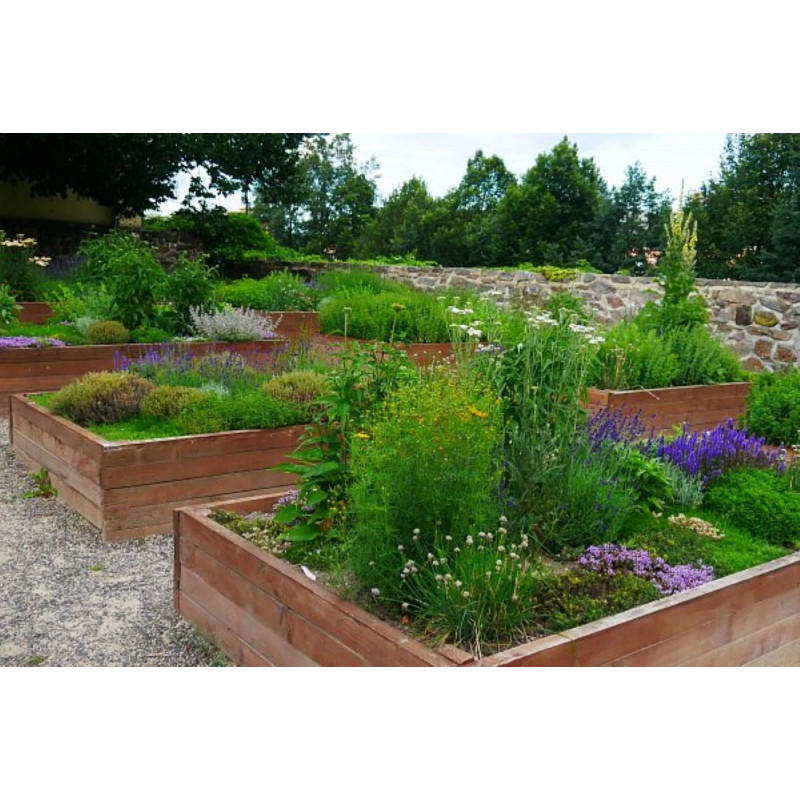 Dárkový poukaz na venkovní únikovou hru Za rohem číhá drak – náhled 6