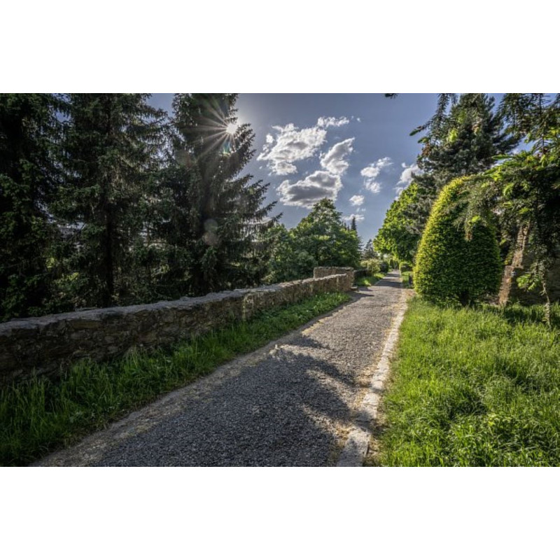 Dárkový poukaz na venkovní únikovou hru Velká stříbrná loupež – náhled 3