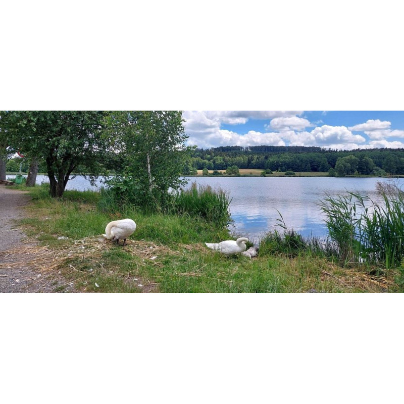 Dárkový poukaz na venkovní únikovou hru Po stopách tajného agenta – náhled 3