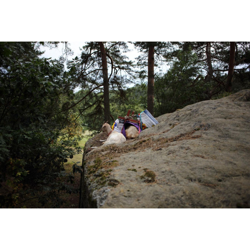 Dárkový poukaz na procházku s kozím parťákem – náhled 3