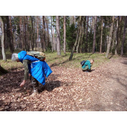 Dárkový poukaz na lesní terapii – náhled 3