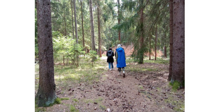 Dárkový poukaz na lesní terapii – náhled 4