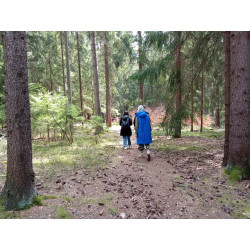 Dárkový poukaz na lesní terapii – náhled 4