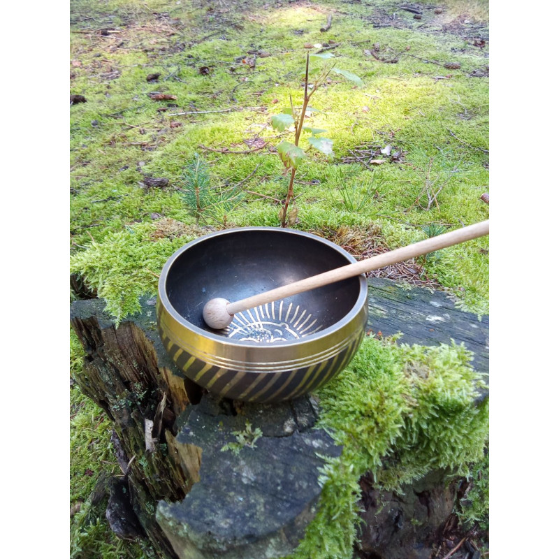 Dárkový poukaz na lesní terapii – náhled 2