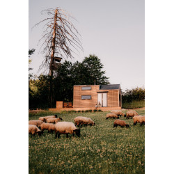 Dárkový poukaz na ubytování v přírodě v tiny housu Neposeda – náhled 7