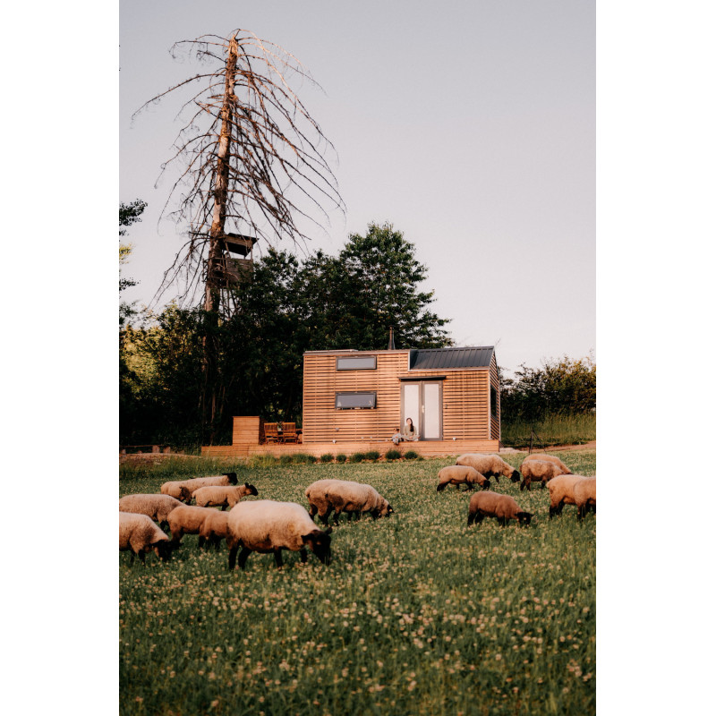 Dárkový poukaz na ubytování v přírodě v tiny housu Neposeda – náhled 7