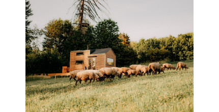 Dárkový poukaz na ubytování v přírodě v tiny housu Neposeda – náhled 2