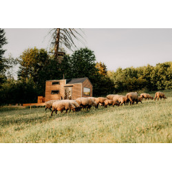 Dárkový poukaz na ubytování v přírodě v tiny housu Neposeda – náhled 2