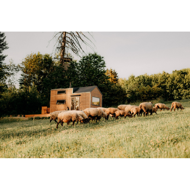 Dárkový poukaz na ubytování v přírodě v tiny housu Neposeda – náhled 2