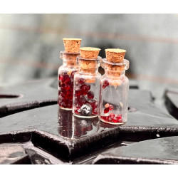 Dárkový poukaz na soukromý výlet plný dobrodružství s Offroadsafari.cz – náhled 8