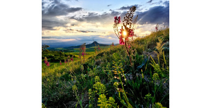 Dárkový poukaz na soukromý výlet s Offroadsafari.cz pro až 6 osob – náhled 9