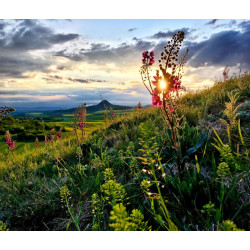 Dárkový poukaz na soukromý výlet s Offroadsafari.cz pro až 6 osob – náhled 9
