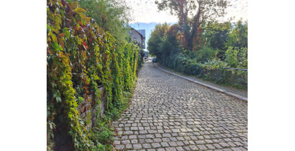 Dárkový poukaz na venkovní únikovou hru Záhada starého Liberce – náhled 2