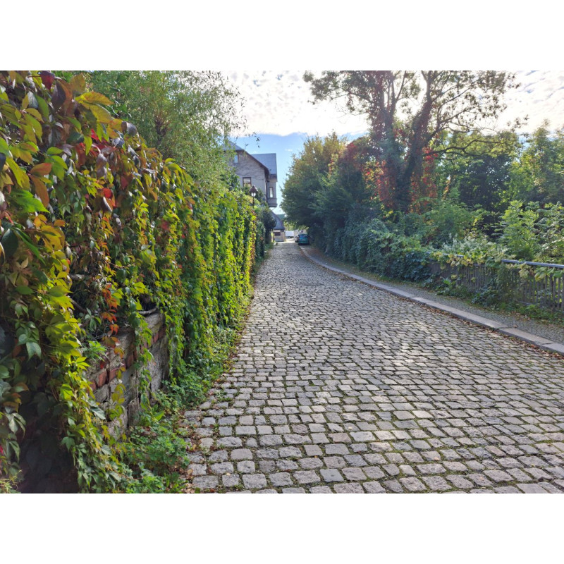 Dárkový poukaz na venkovní únikovou hru Záhada starého Liberce – náhled 2