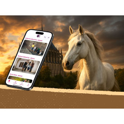 Dárkový poukaz na venkovní únikovou hru Tajemství Kutné Hory – Darujpoukaz.cz