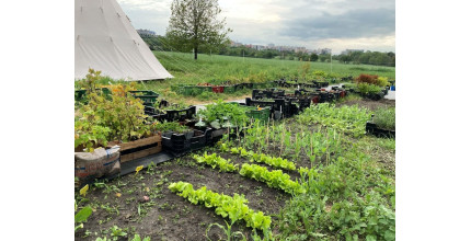 Dárkový poukaz na nákup v Onlinezahradnictvi.cz – náhled 3