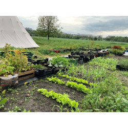 Dárkový poukaz na nákup v Onlinezahradnictvi.cz – náhled 3