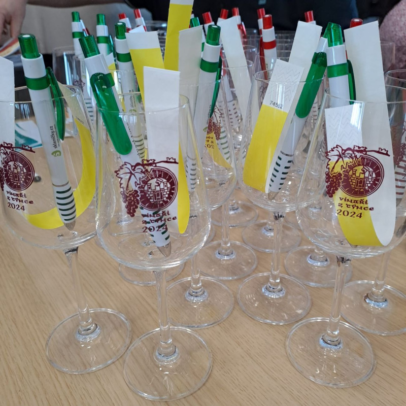 Dárkový poukaz na vstup na místní výstavu vín v Týnci 2026 – náhled 3