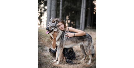 Dárkový poukaz na zážitkové focení s vlky – náhled 4