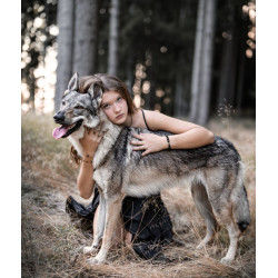 Dárkový poukaz na zážitkové focení s vlky – náhled 4