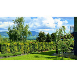 Dárkový poukaz na klidné ubytování - Zenovna - Reset v Beskydech – náhled 17