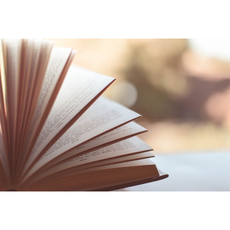 Dárkový poukaz na kniha potěší v hodnotě 500 Kč – náhled 2