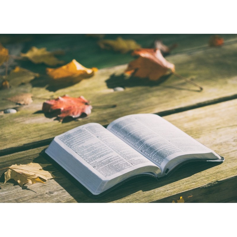 Dárkový poukaz na kniha potěší v hodnotě 1000 Kč – náhled 5