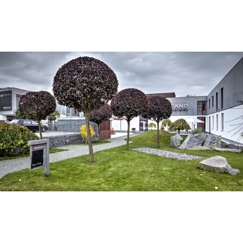 Dárkový poukaz na Wellness víkend na úpatí sopky (pro 2 os. na 2 noci) – náhled 4