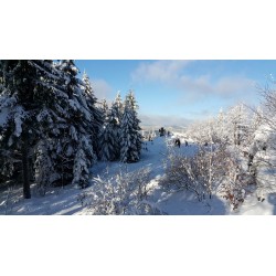 Dárkový poukaz na celodenní výpravu na sněžnicích Krkonoše