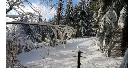 Celodenní výprava na sněžnicích Krkonoše