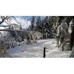 Dárkový poukaz na celodenní výpravu na sněžnicích Krkonoše