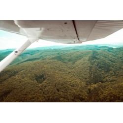 Dárkový poukaz na vyhlídkový let CESSNA 207: Pálava, Lednice  - 45 min v hodnotě 2999 Kč