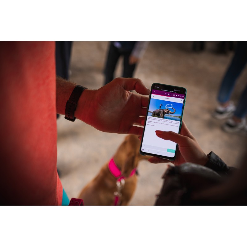 Dárkový poukaz na hru Za lachtany přes celý svět v Zoo Lešná – náhled 6