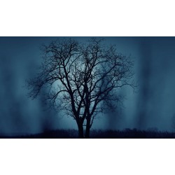 Dárkový poukaz na venkovní únikovou hru Lovci duchů - Duch lesa