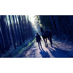 Dárkový poukaz na venkovní únikovou hru Lovci duchů - Duch lesa