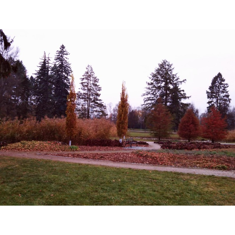 Dárkový poukaz na venkovní únikovou hru Únos červeného cadillacu – náhled 6