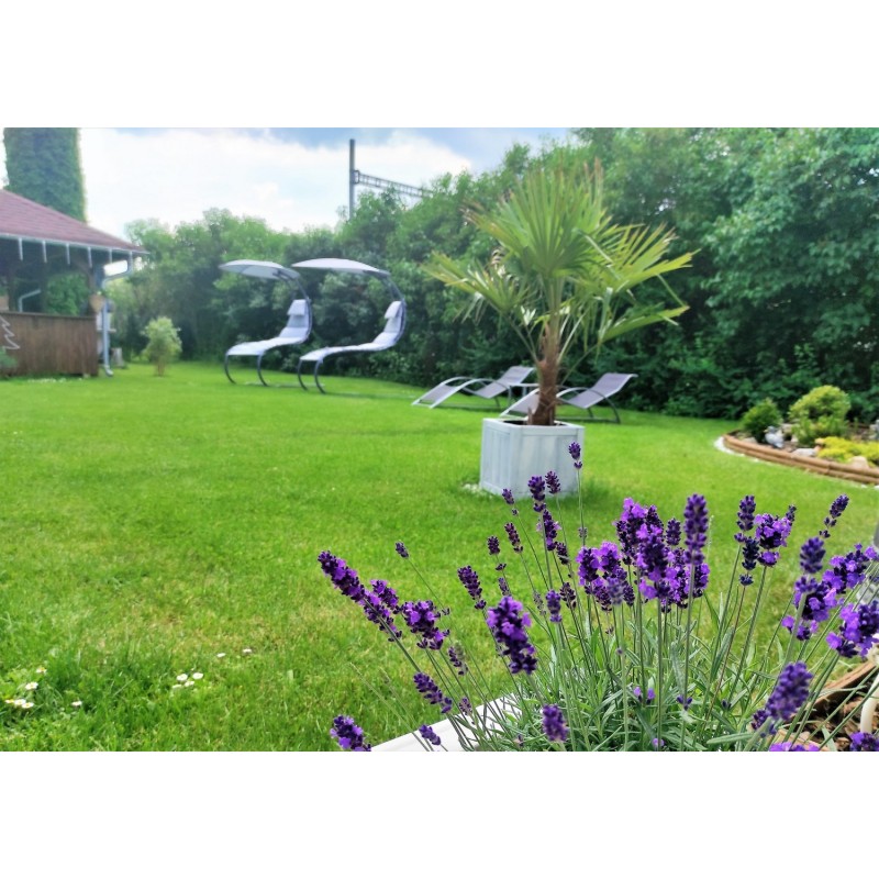 Dárkový poukaz na relaxační pobyt s polopenzí, wellness a masážemi – náhled 22