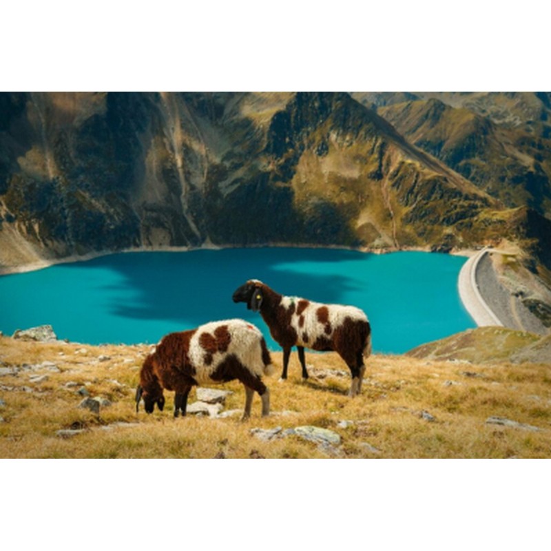 Dárkový poukaz na sjezd řek Lech, Inn a ferraty – náhled 5