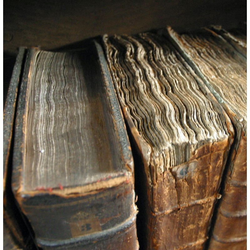 Dárkový poukaz na rodokmen z otcovské nebo mateřské linie – náhled 3