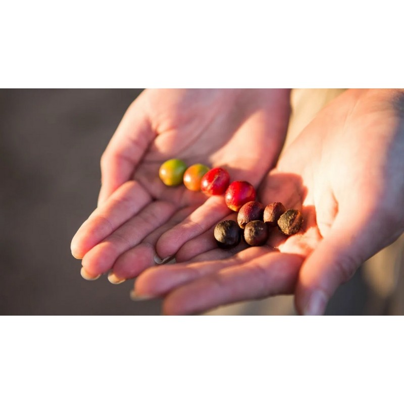 Dárkový poukaz na baristický kurz Alternativní příprava kávy – náhled 4