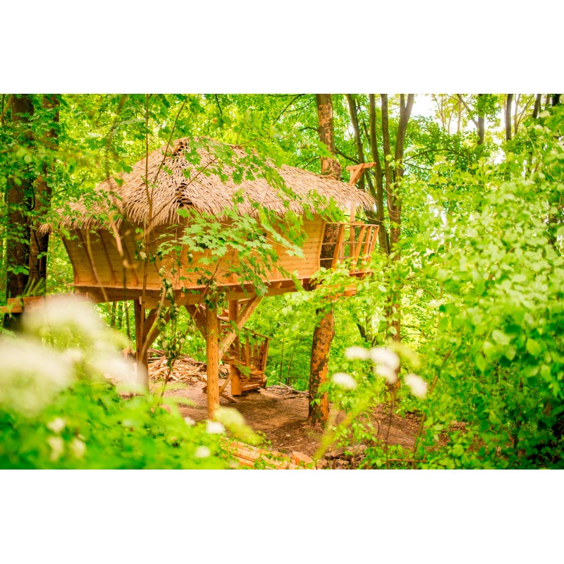 Dárkový poukaz na zážitkový pobyt v Treehousu pod Ještědem – náhled 18