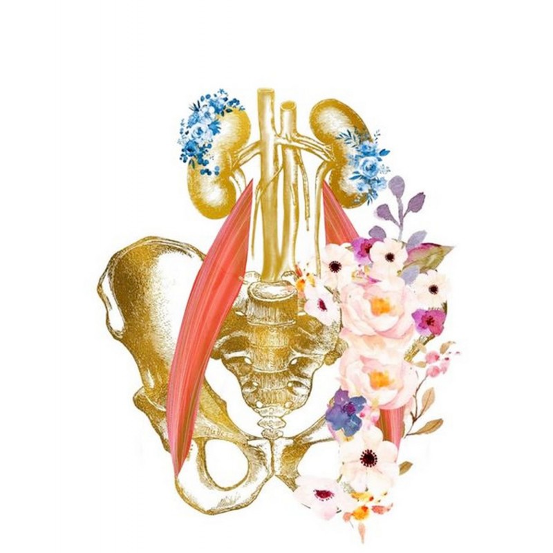 Dárkový poukaz na Videokurz Péče o páteř a bederní svaly Psoas – náhled 2