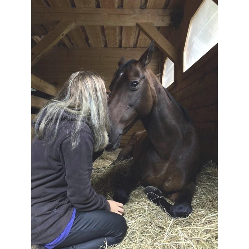 Dárkový poukaz na projížďku na koni v přírodě a péče o koně – náhled 9