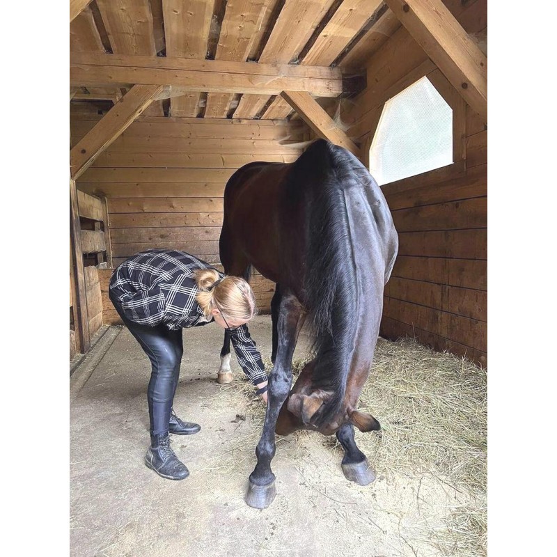 Dárkový poukaz na projížďku na koni v přírodě a péče o koně – náhled 11