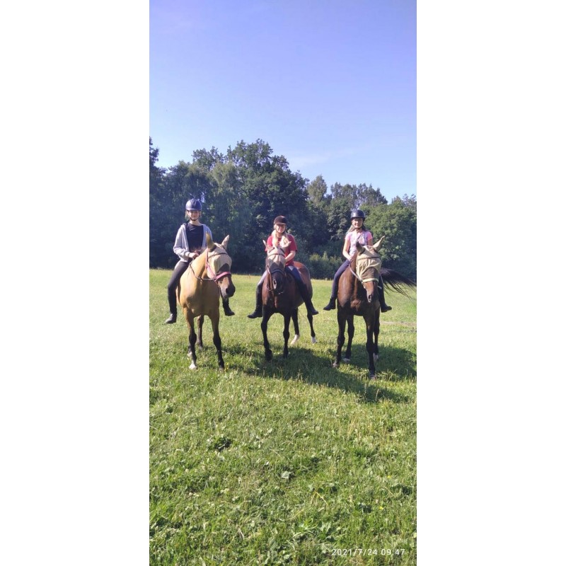 Dárkový poukaz na projížďku na koni v přírodě a péče o koně – náhled 12