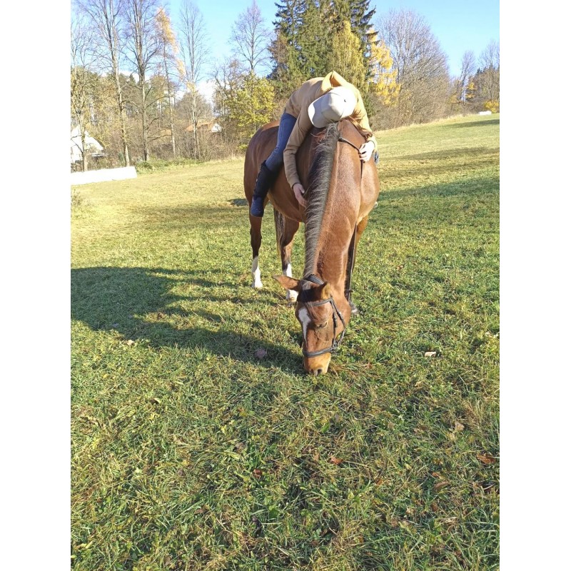 Dárkový poukaz na projížďku na koni v přírodě a péče o koně – náhled 6