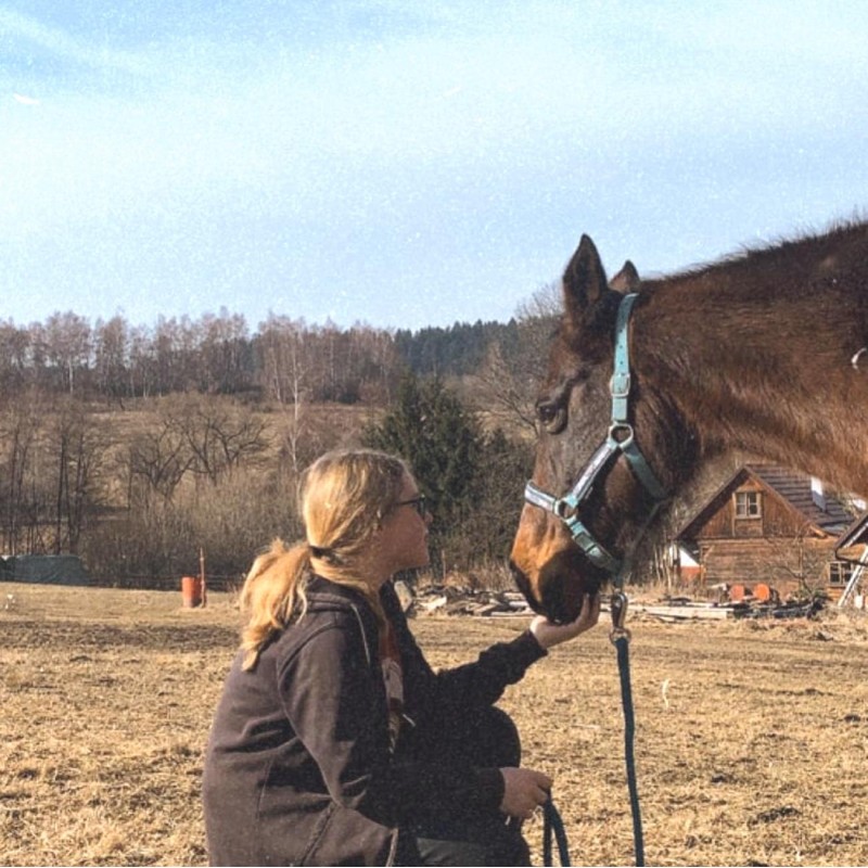 Dárkový poukaz na péči o koně a přirozenou komunikaci – náhled 6