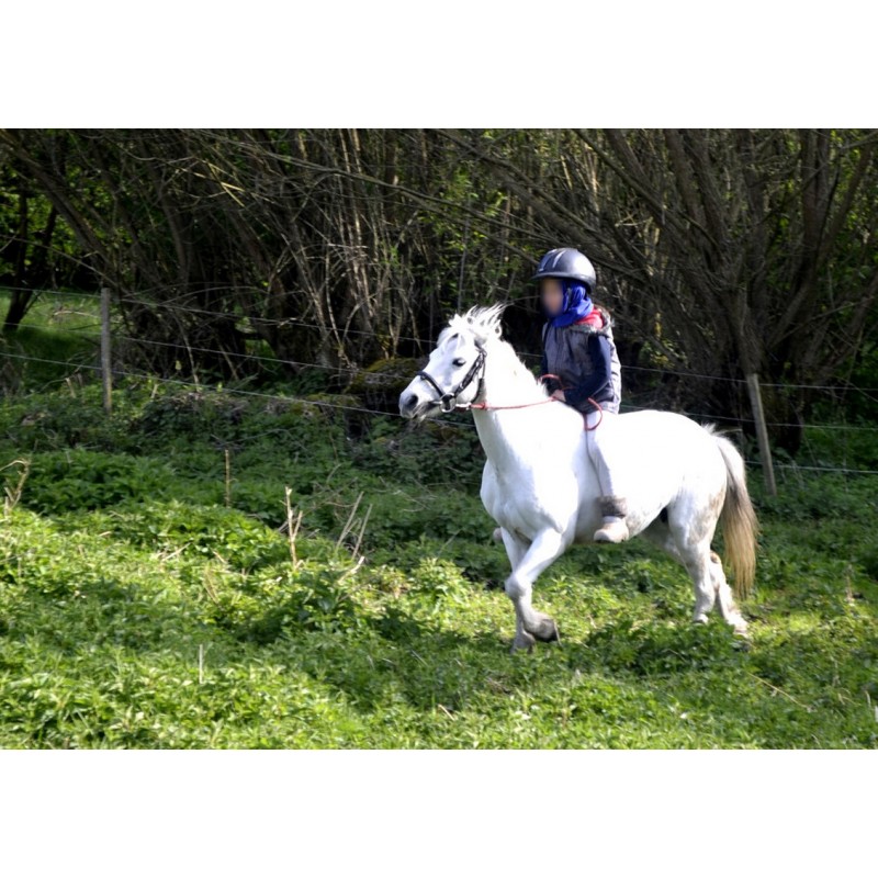 Dárkový poukaz na projížďku na koni v přírodě a péče o koně – náhled 5